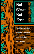 Not Slave, Not Free: The African American Economic Experience Since the Civil War