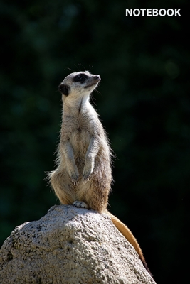 Notebook: Wild Nature Series, Meerkat, Journal for Writing, College Ruled, Lined Notebook, Soft Cover, Matte, Size 6"x 9" inches, 120 Pages - Jenkins, Allan