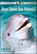NOVA scienceNOW: How Smart Are Animals? - Dana Rae Warren; Joshua Seftel; Julia Cort; Rushmoore De Nooyer