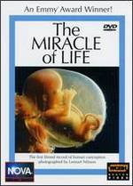 NOVA: The Miracle of Life