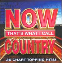 Now That's What I Call Country [2008] - Various Artists