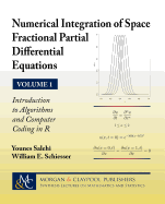 Numerical Integration of Space Fractional Partial Differential Equations: Vol 2 - Applications from Classical Integer PDEs