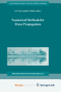 Numerical Methods for Wave Propagation: Selected Contributions From the Workshop Held in Manchester, U.K., Containing the Harten Memorial Lecture - Toro, E.F.