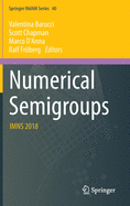 Numerical Semigroups: Imns 2018