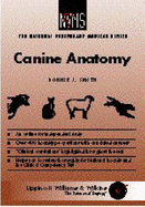 NVMS Canine Anatomy - Smith, Bonnie