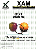 Nystce Cst Spanish 020