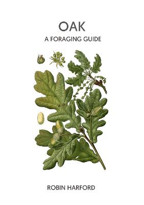 Oak - A Foraging Guide - Harford, Robin