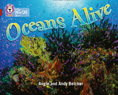Oceans Alive: Band 14/Ruby