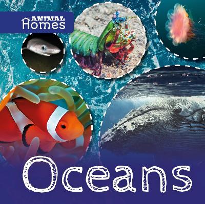 Oceans - Wood, John, and Rumbelow, Matt (Designer)