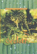 Ocelots - Donovan, Sandra