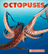 Octopuses - Markert, Jenny