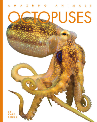 Octopuses - Riggs, Kate