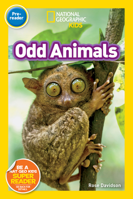 Odd Animals (National Geographic Kids Readers, Pre-Reader) - Davidson, Rose