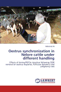 Oestrus Synchronization in Nelore Cattle Under Different Handling