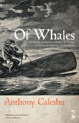 Of Whales: in Print, in Paint, in Sea, in Stars, in Coin, in House, in Margins - Caleshu, Anthony