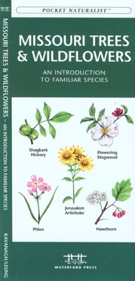 Oklahoma Trees & Wildflowers: An Introduction to Familiar Species - Kavanagh, James, and Waterford Press