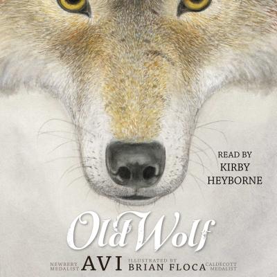 Old Wolf - Avi