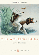 Old Working Dogs