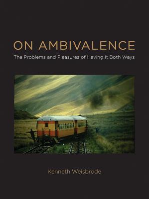 On Ambivalence: The Problems and Pleasures of Having it Both Ways - Weisbrode, Kenneth