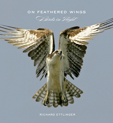 On Feathered Wings: Birds in Flight - Ettlinger, Richard (Photographer), and Palmer, Rob (Photographer), and Lasa, Miguel (Photographer)