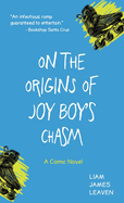 On the Origins of Joy Boys Chasm