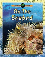 On the Seabed