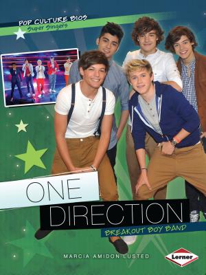 One Direction: Breakout Boy Band - Lusted, Marcia Amidon