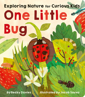 One Little Bug: Exploring Nature for Curious Kids - Davies, Becky