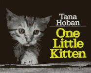 One Little Kitten