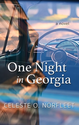 One Night in Georgia - Norfleet, Celeste O