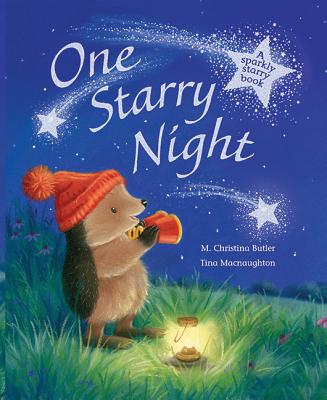 One Starry Night: A Sparkly Starry Book - Butler, M Christina