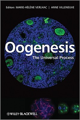 Oogenesis: The Universal Process - Verlhac, Marie-Helene, and Villeneuve, Anne