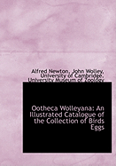 Ootheca Wolleyana: An Illustrated Catalogue of the Collection of Birds Eggs