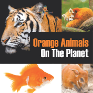 Orange Animals On The Planet