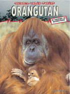 Orangutan - Orme, David