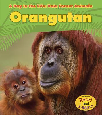 Orangutan - Ganeri, Anita