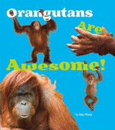 Orangutans Are Awesome!