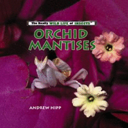 Orchid Mantises