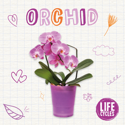 Orchid - McHale, Brenda