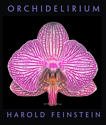 Orchidelirium - Hesse, Robert H, and Feinstein, Harold