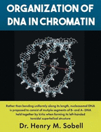 Organization of DNA in Chromatin