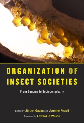 Organization of Insect Societies: From Genome to Sociocomplexity - Gadau, Jrgen (Editor), and Fewell, Jennifer (Editor), and Wilson, Edward O (Foreword by)