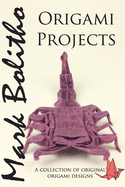 Origami Projects: A collection of original origami designs