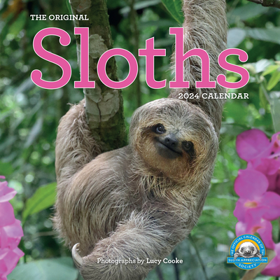 Original Sloths Wall Calendar 2024: the Ultimate Experts at Slowing Down - Workman Calendars, Lucy Cooke