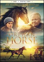 Orphan Horse - Sean McNamara