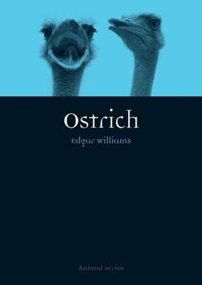 Ostrich - Williams, Edgar