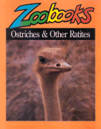 Ostriches - Elwood, Ann