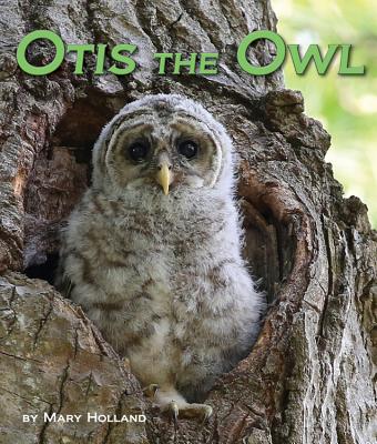 Otis the Owl - Holland, Mary
