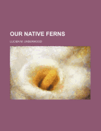 Our Native Ferns