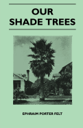 Our Shade Trees